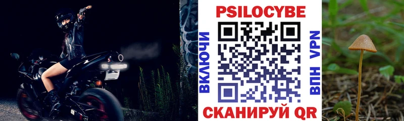 где можно купить наркотик  Звенигород  Галлюциногенные грибы мицелий 